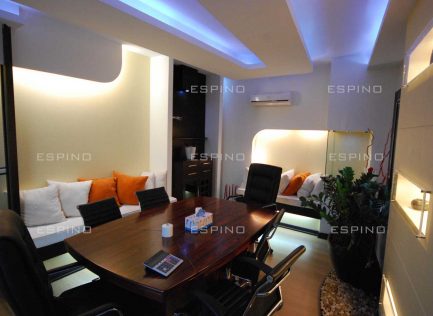 شرکت بازرگانی (دولت)