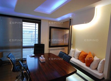 شرکت بازرگانی (دولت)