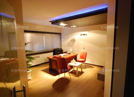 شرکت بازرگانی (دولت)