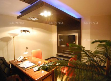 شرکت بازرگانی (دولت)