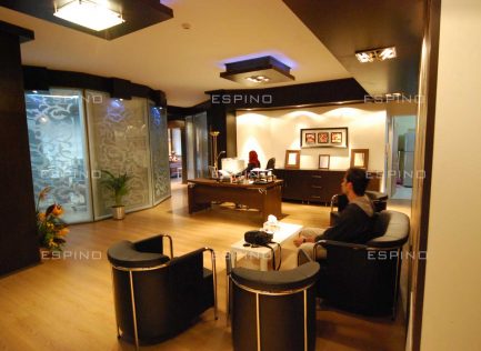 شرکت بازرگانی (دولت)