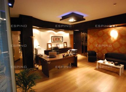 شرکت بازرگانی (دولت)