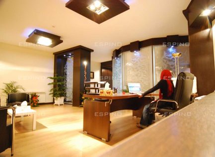 شرکت بازرگانی (دولت)