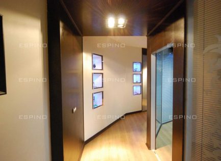 شرکت بازرگانی (دولت)