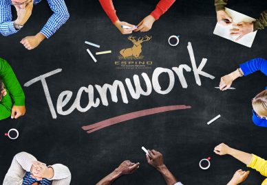 کار تیمی گروه طراحی اسپینو