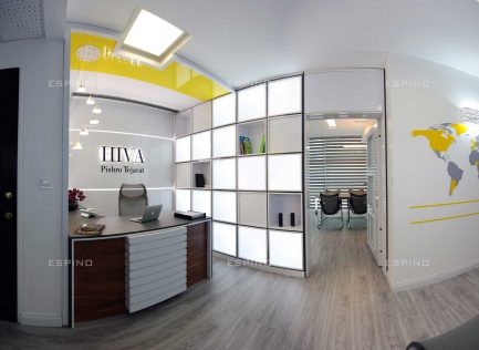 پیشرو تجارت هیوا