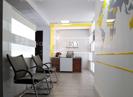 پیشرو تجارت هیوا