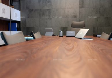 پیشرو تجارت هیوا