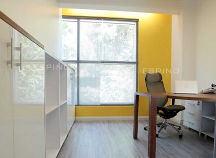 پیشرو تجارت هیوا